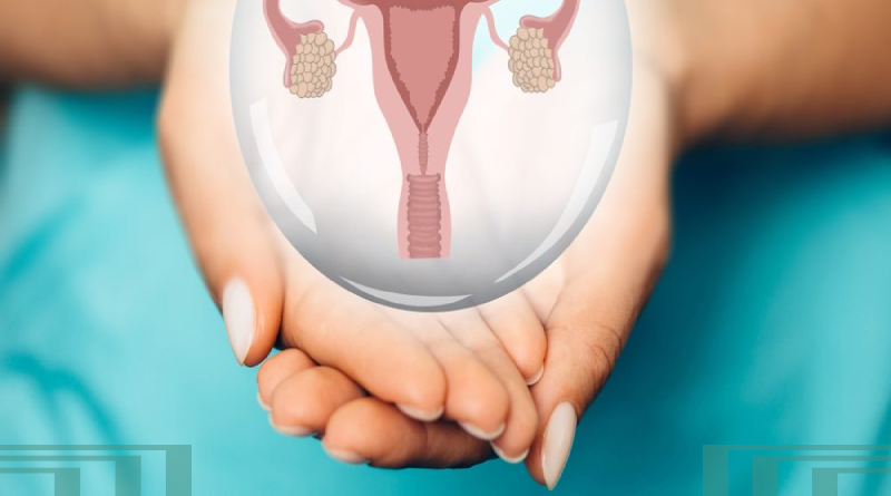  женское здоровье женская половая система женская репродуктивная система